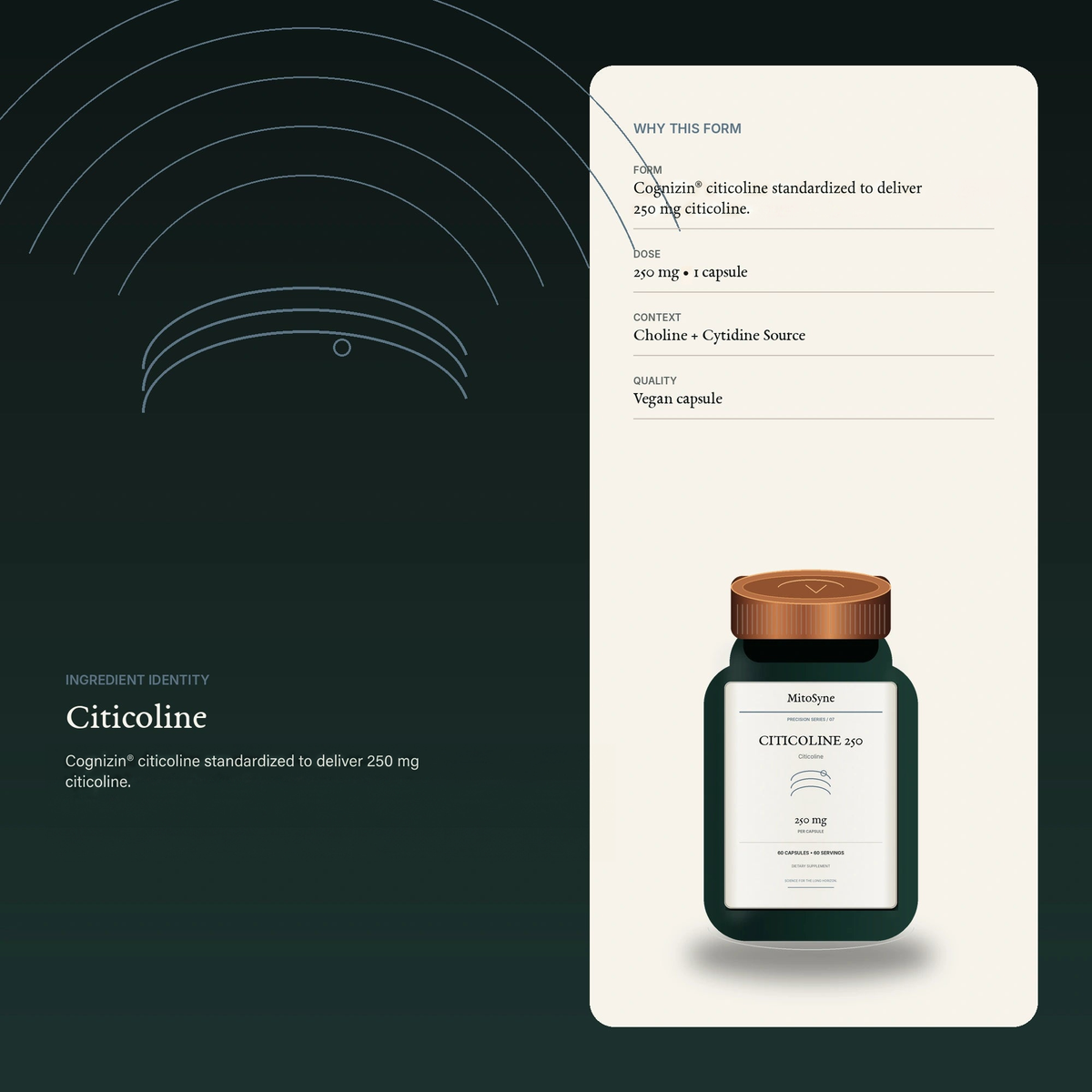 MitoSyne Citicoline 250 — Citicoline, 250 mg — Ingredient identity / mechanism-safe visual