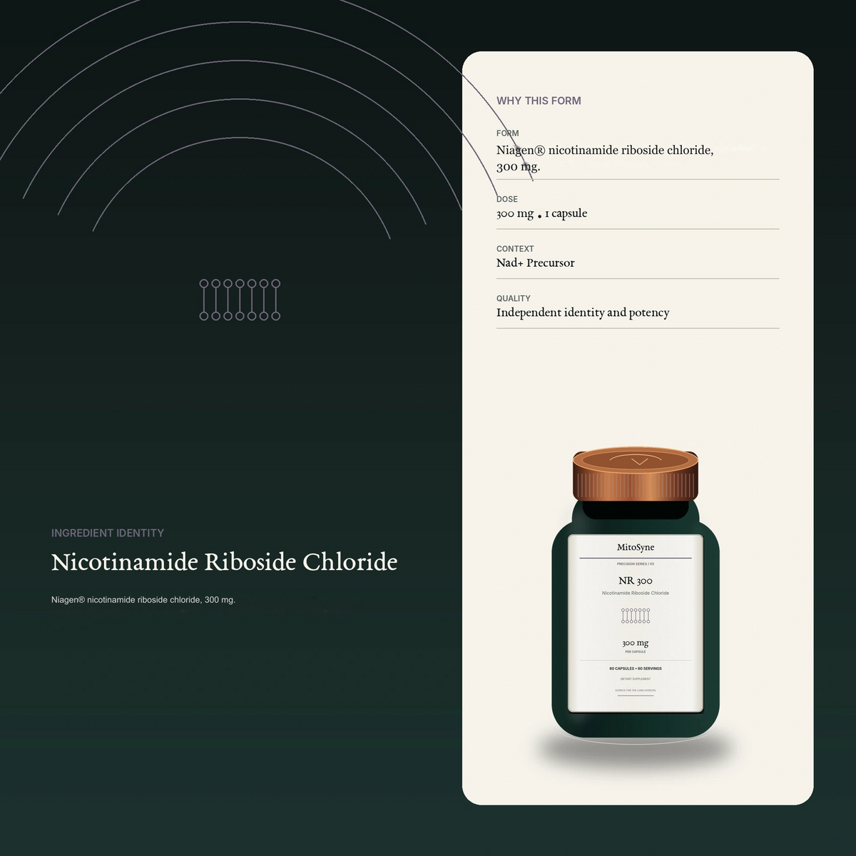 MitoSyne NR 300 — Nicotinamide Riboside Chloride, 300 mg — Ingredient identity / mechanism-safe visual
