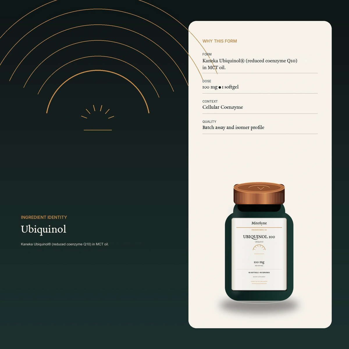 MitoSyne Ubiquinol 100 — Ubiquinol, 100 mg — Ingredient identity / mechanism-safe visual
