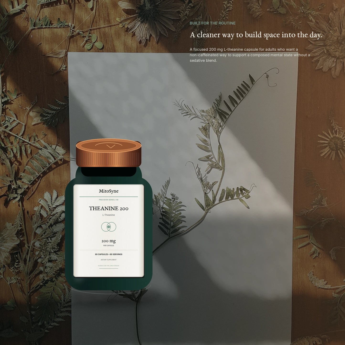 MitoSyne Theanine 200 — L-Theanine, 200 mg — Premium routine context
